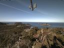 ./images/calvert/lookout/20210415/lookout20210415_101001.jpg