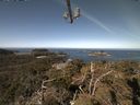 ./images/calvert/lookout/20210415/lookout20210415_103501.jpg