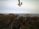./images/calvert/lookout/20210416/lookout20210416_061001.jpg
