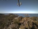 ./images/calvert/lookout/20210416/lookout20210416_101501.jpg