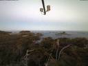 ./images/calvert/lookout/20210417/lookout20210417_061002.jpg