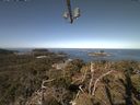 ./images/calvert/lookout/20210417/lookout20210417_102502.jpg
