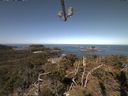 ./images/calvert/lookout/20210417/lookout20210417_103501.jpg