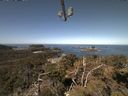 ./images/calvert/lookout/20210417/lookout20210417_105501.jpg