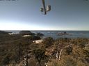 ./images/calvert/lookout/20210417/lookout20210417_135502.jpg