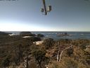 ./images/calvert/lookout/20210417/lookout20210417_140501.jpg