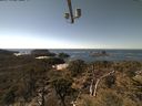 ./images/calvert/lookout/20210417/lookout20210417_141001.jpg