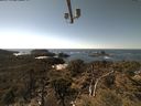 ./images/calvert/lookout/20210417/lookout20210417_144001.jpg
