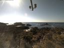 ./images/calvert/lookout/20210417/lookout20210417_160501.jpg