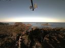 ./images/calvert/lookout/20210418/lookout20210418_074501.jpg