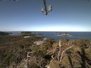 ./images/calvert/lookout/20210418/lookout20210418_102502.jpg