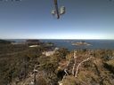 ./images/calvert/lookout/20210418/lookout20210418_112001.jpg