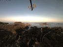 ./images/calvert/lookout/20210419/lookout20210419_071501.jpg