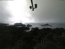 ./images/calvert/lookout/20210419/lookout20210419_164502.jpg