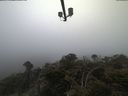 ./images/calvert/lookout/20210420/lookout20210420_071002.jpg