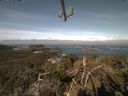 ./images/calvert/lookout/20210420/lookout20210420_100001.jpg