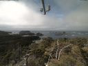 ./images/calvert/lookout/20210420/lookout20210420_121501.jpg