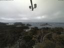 ./images/calvert/lookout/20210420/lookout20210420_122501.jpg