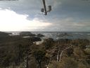 ./images/calvert/lookout/20210420/lookout20210420_141001.jpg