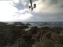 ./images/calvert/lookout/20210420/lookout20210420_141501.jpg