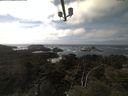 ./images/calvert/lookout/20210420/lookout20210420_144002.jpg
