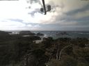 ./images/calvert/lookout/20210420/lookout20210420_145002.jpg
