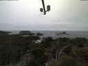 ./images/calvert/lookout/20210421/lookout20210421_074002.jpg
