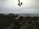 ./images/calvert/lookout/20210421/lookout20210421_080001.jpg