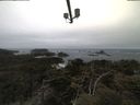 ./images/calvert/lookout/20210421/lookout20210421_081001.jpg