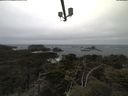 ./images/calvert/lookout/20210421/lookout20210421_100501.jpg