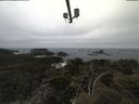 ./images/calvert/lookout/20210421/lookout20210421_101501.jpg