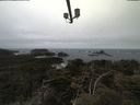 ./images/calvert/lookout/20210421/lookout20210421_102001.jpg