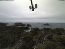 ./images/calvert/lookout/20210421/lookout20210421_102501.jpg