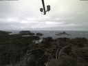 ./images/calvert/lookout/20210421/lookout20210421_110502.jpg