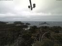 ./images/calvert/lookout/20210421/lookout20210421_111002.jpg