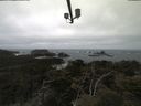 ./images/calvert/lookout/20210421/lookout20210421_111502.jpg