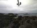 ./images/calvert/lookout/20210421/lookout20210421_112502.jpg