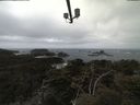 ./images/calvert/lookout/20210421/lookout20210421_115002.jpg
