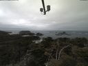 ./images/calvert/lookout/20210421/lookout20210421_122001.jpg