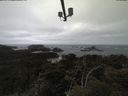 ./images/calvert/lookout/20210421/lookout20210421_123501.jpg