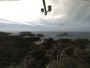 ./images/calvert/lookout/20210421/lookout20210421_134501.jpg