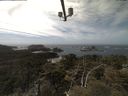 ./images/calvert/lookout/20210421/lookout20210421_135501.jpg