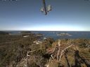 ./images/calvert/lookout/20210422/lookout20210422_101501.jpg