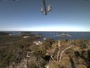 ./images/calvert/lookout/20210422/lookout20210422_104502.jpg