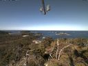 ./images/calvert/lookout/20210422/lookout20210422_105002.jpg