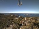 ./images/calvert/lookout/20210422/lookout20210422_105502.jpg