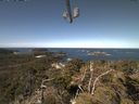 ./images/calvert/lookout/20210422/lookout20210422_110502.jpg