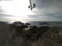 ./images/calvert/lookout/20210422/lookout20210422_164502.jpg