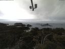 ./images/calvert/lookout/20210423/lookout20210423_081001.jpg
