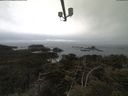 ./images/calvert/lookout/20210423/lookout20210423_084501.jpg
